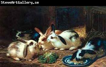 unknow artist Rabbits 116